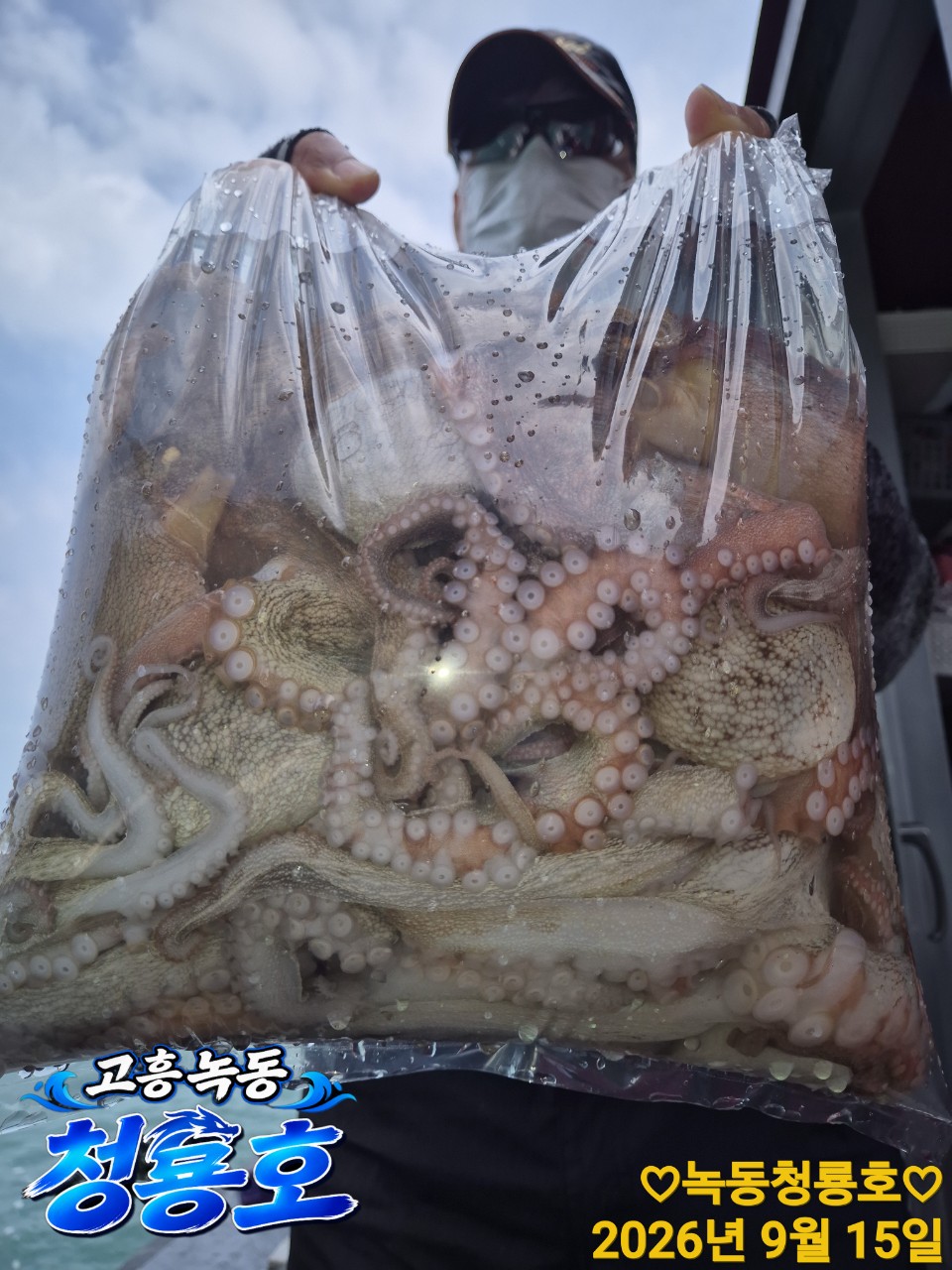 9월 15일 문어 선상낚시 조황 현장 사진 8