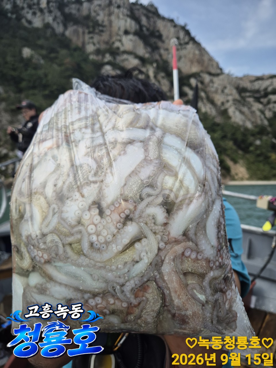 9월 15일 문어 선상낚시 조황 현장 사진 10