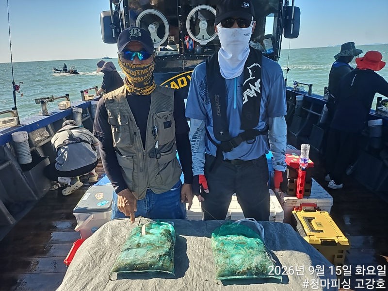 9월 15일 인천 갑오징어 선상낚시 조황 현장 사진 36