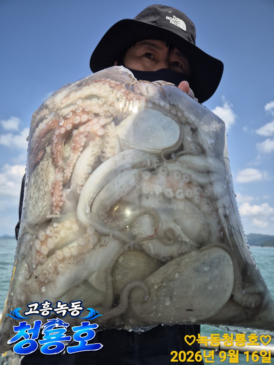 9월 16일 문어 선상낚시 조황 현장 사진 14