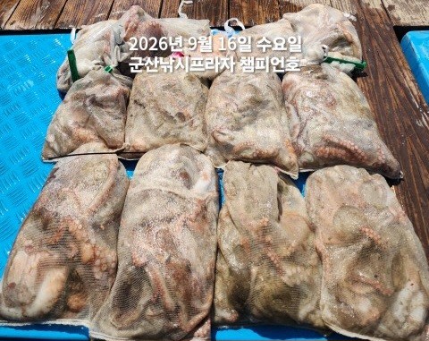9월 16일 문어 선상낚시 조황 현장 사진 2