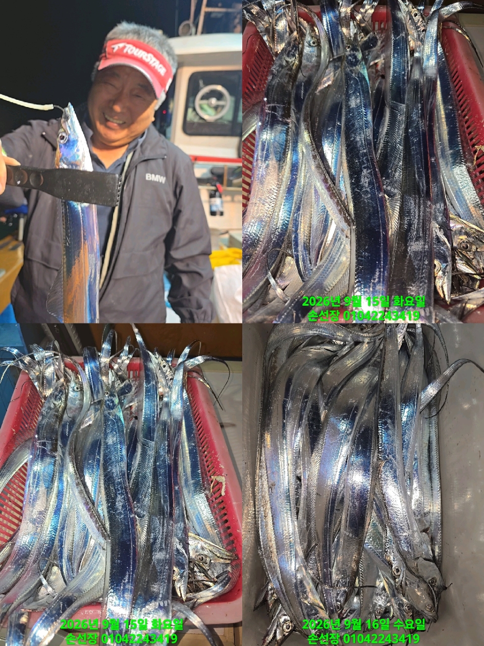 9월 16일 마산 갈치 선상낚시 조황 현장 사진 2