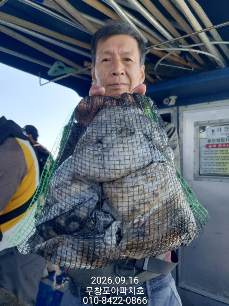 9월 16일 포항 주꾸미 선상낚시 조황 현장 사진 6