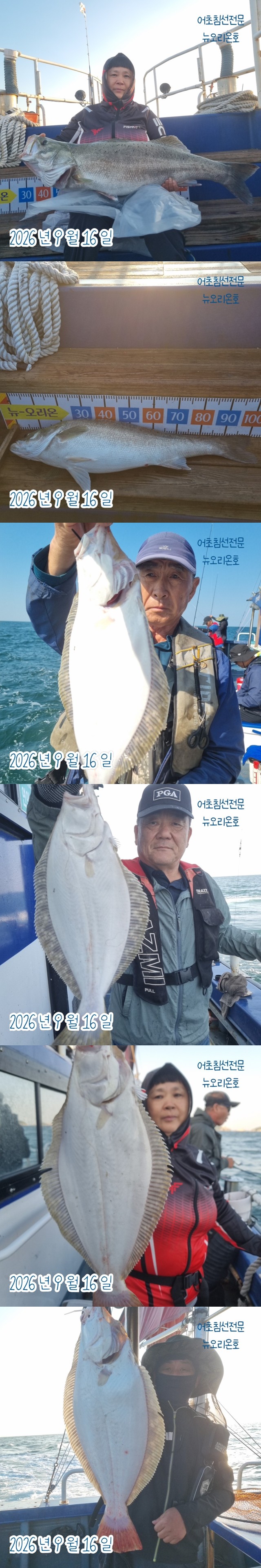 9월 16일 군산 주꾸미 선상낚시 조황 현장 사진 5