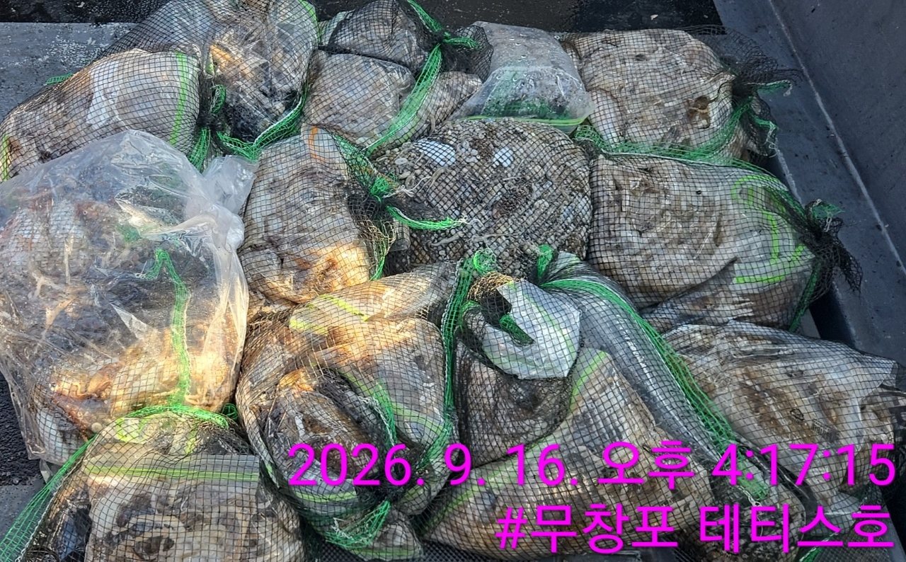 9월 16일 갑오징어 선상낚시 조황 현장 사진 2