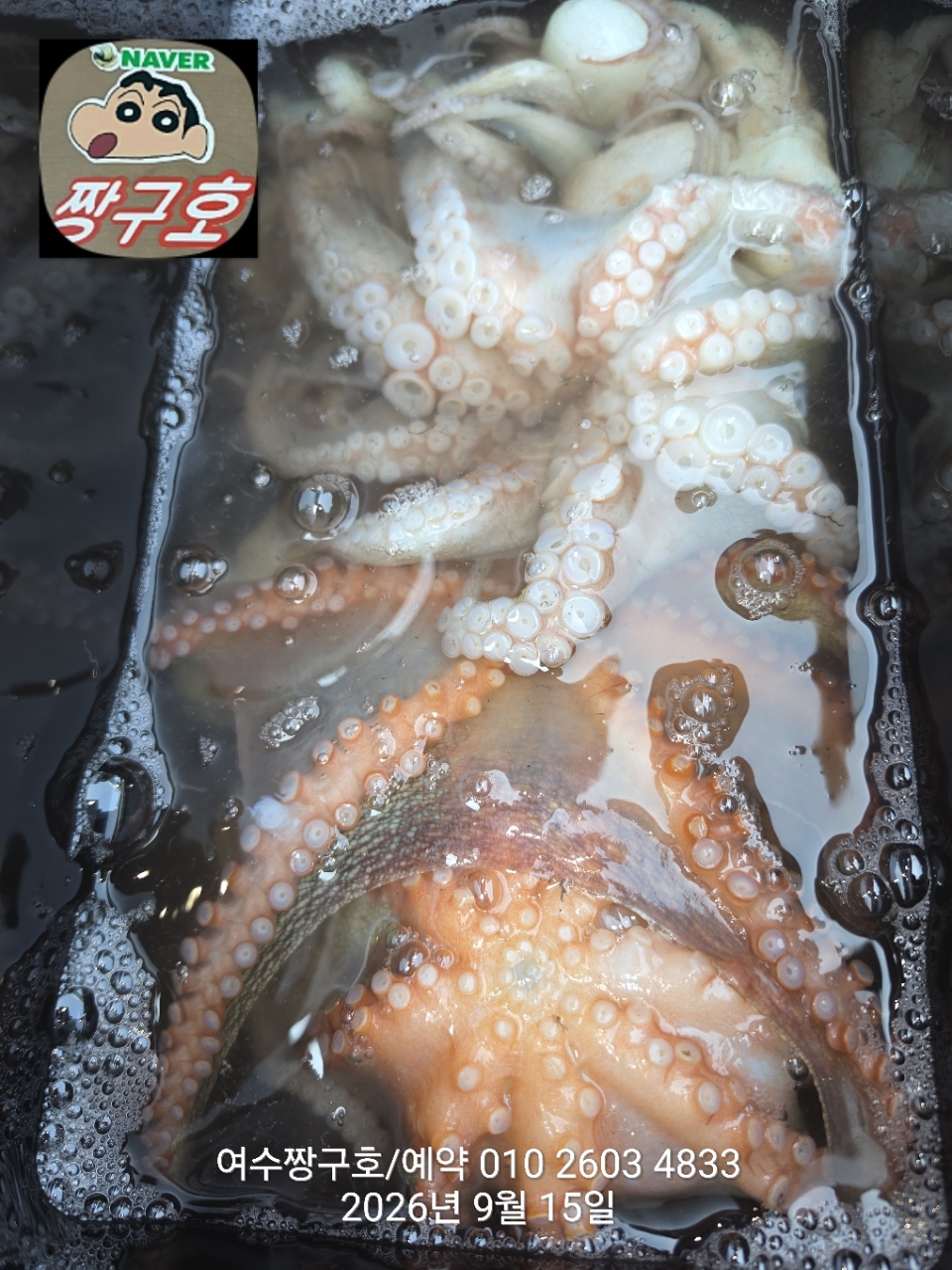 9월 15일 여수 문어 선상낚시 조황 현장 사진 20