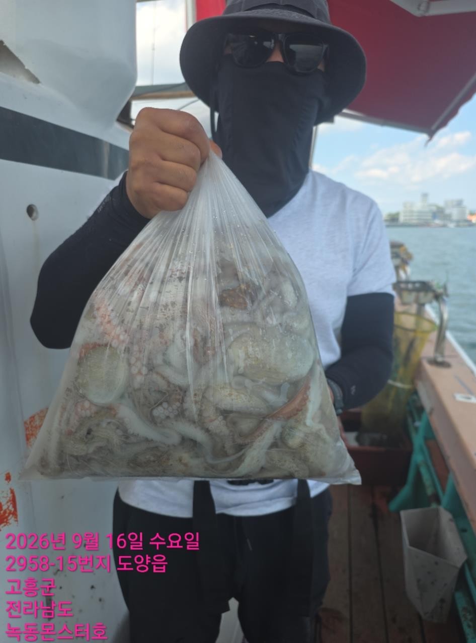 9월 16일 통영 문어 선상낚시 조황 현장 사진 5