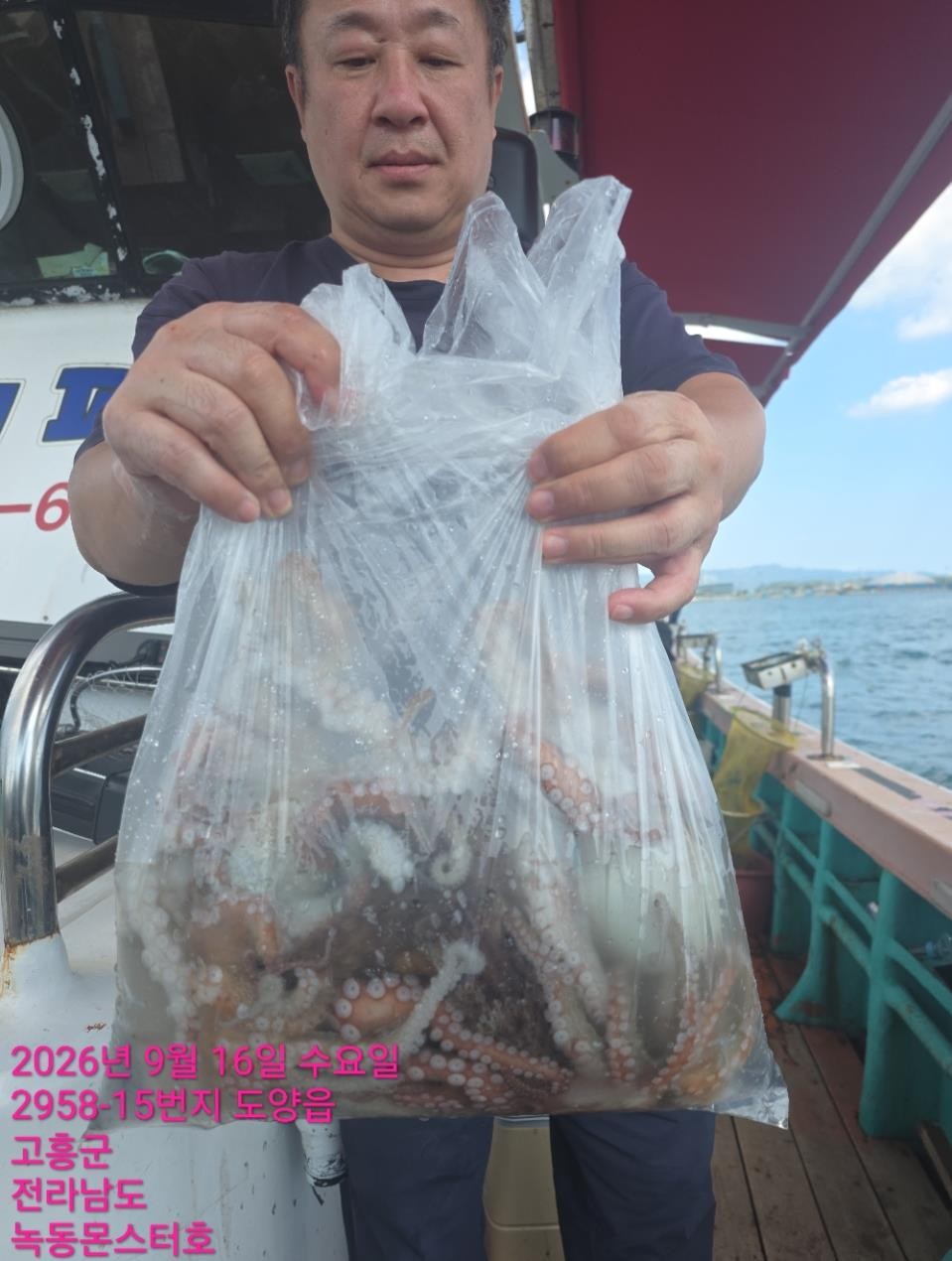9월 16일 통영 문어 선상낚시 조황 현장 사진 3