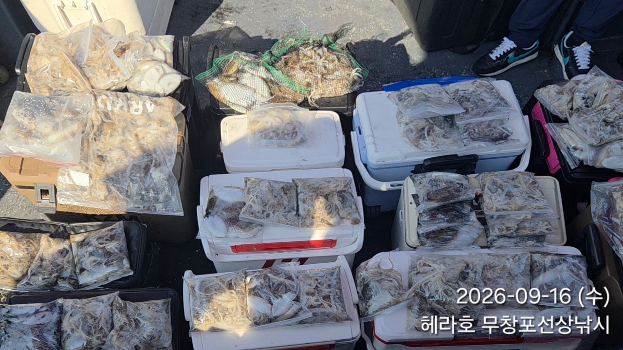 9월 16일 주꾸미 선상낚시 조황 현장 사진 10