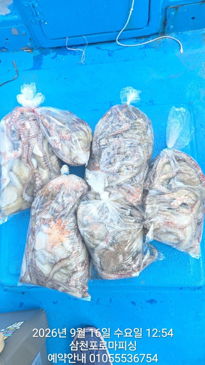 ����ڰ� �ø� �̹���