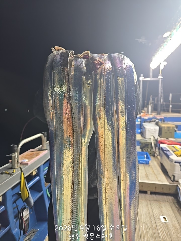 9월 16일 갈치 선상낚시 조황 현장 사진 14