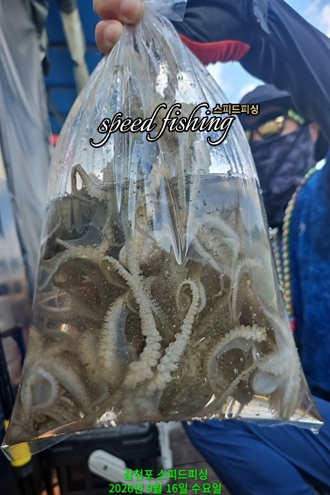 9월 16일 삼천포 주꾸미 선상낚시 조황 현장 사진 8