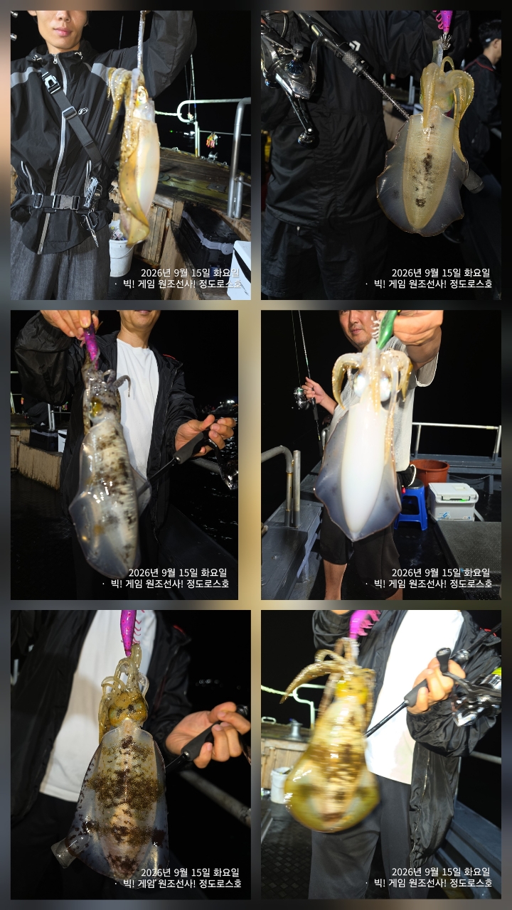9월 16일 포항 무늬오징어 선상낚시 조황 현장 사진 38