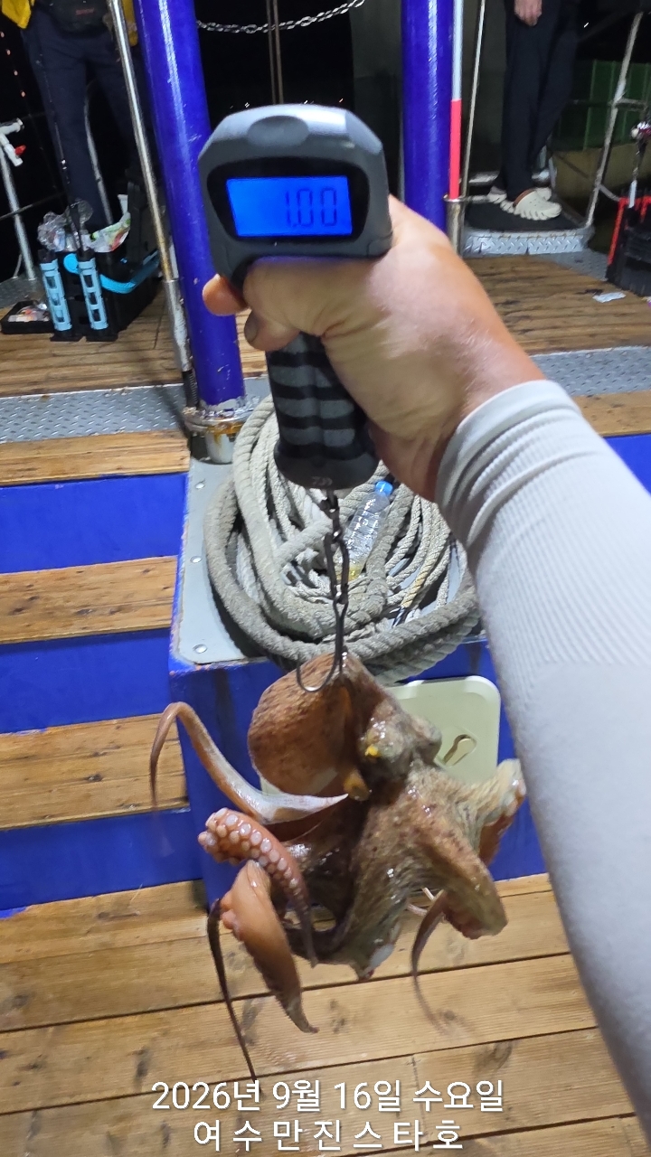 9월 16일 여수 문어 선상낚시 조황 현장 사진 27