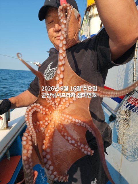 9월 16일 문어 선상낚시 조황 현장 사진 8