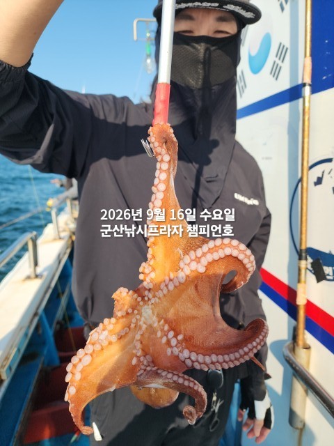 9월 16일 문어 선상낚시 조황 현장 사진 5