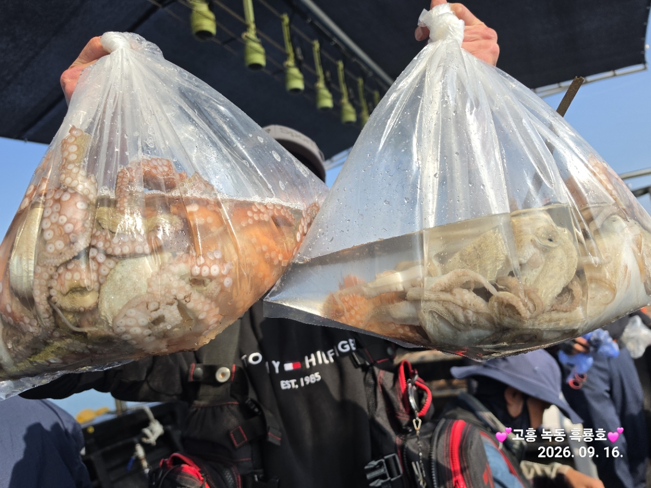 9월 16일 문어 선상낚시 조황 현장 사진 18