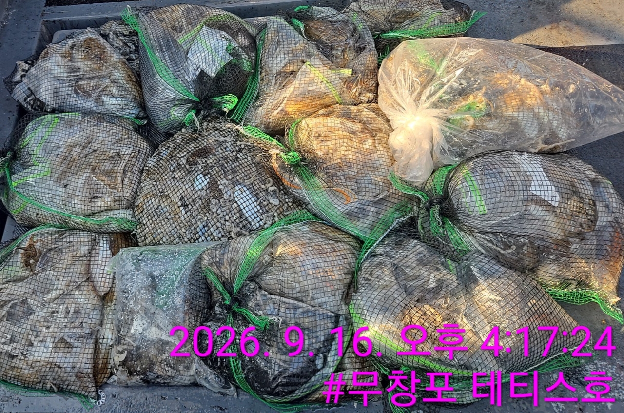 9월 16일 갑오징어 선상낚시 조황 현장 사진 3