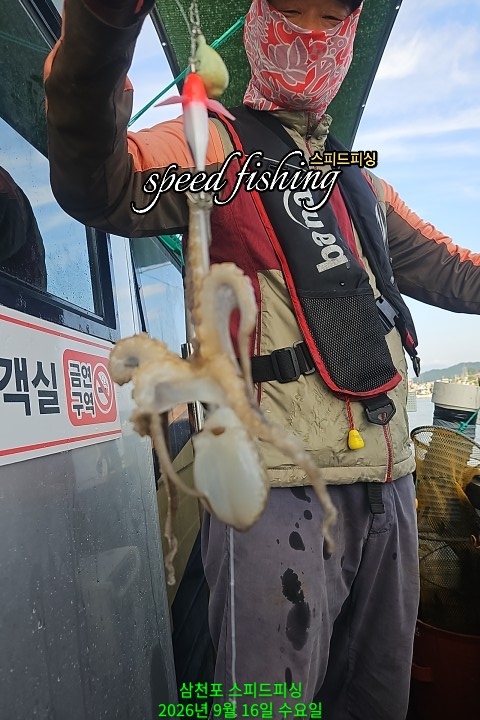 9월 16일 삼천포 주꾸미 선상낚시 조황 현장 사진 7