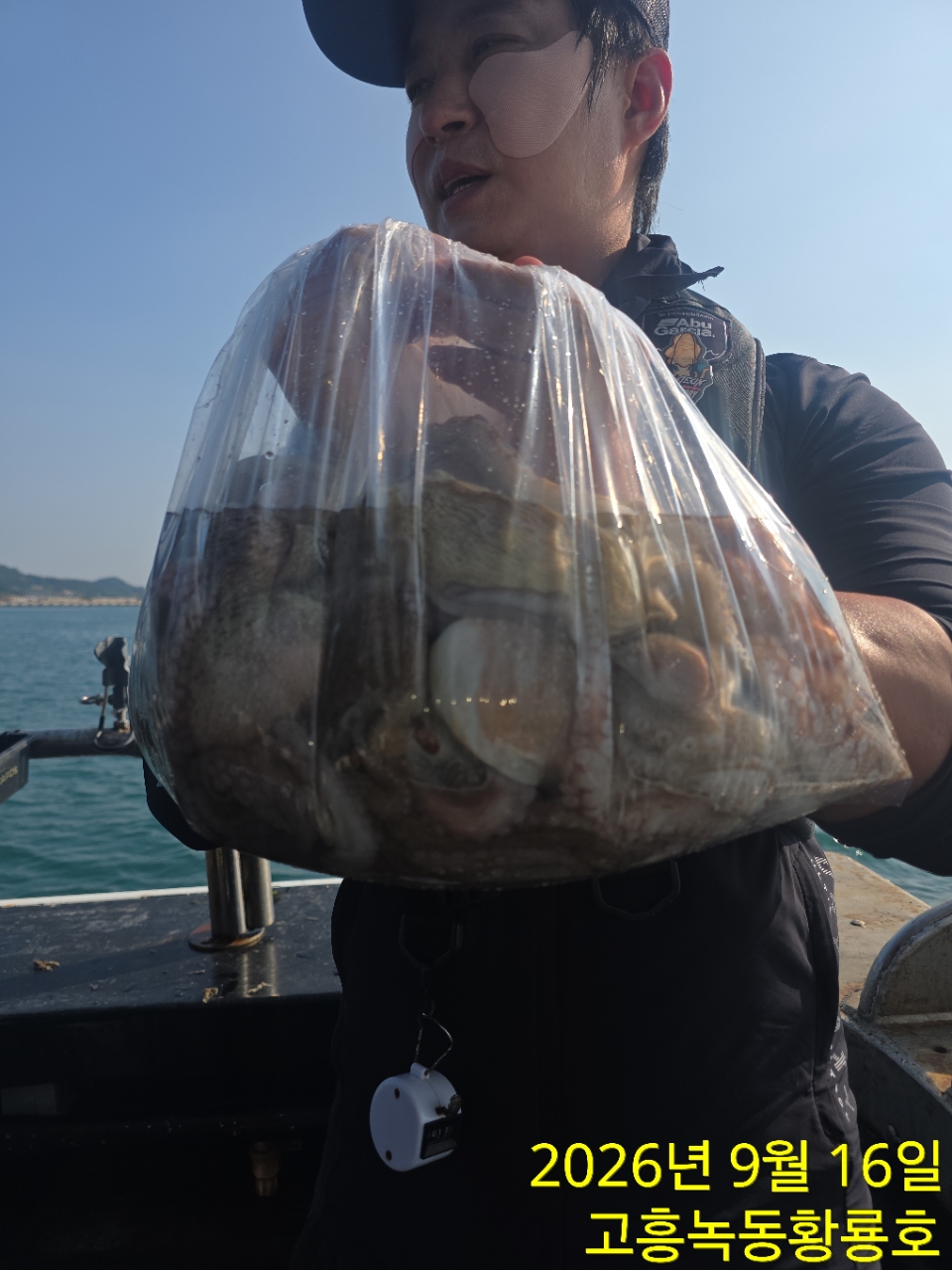 9월 16일 고흥 문어 선상낚시 조황 현장 사진 2
