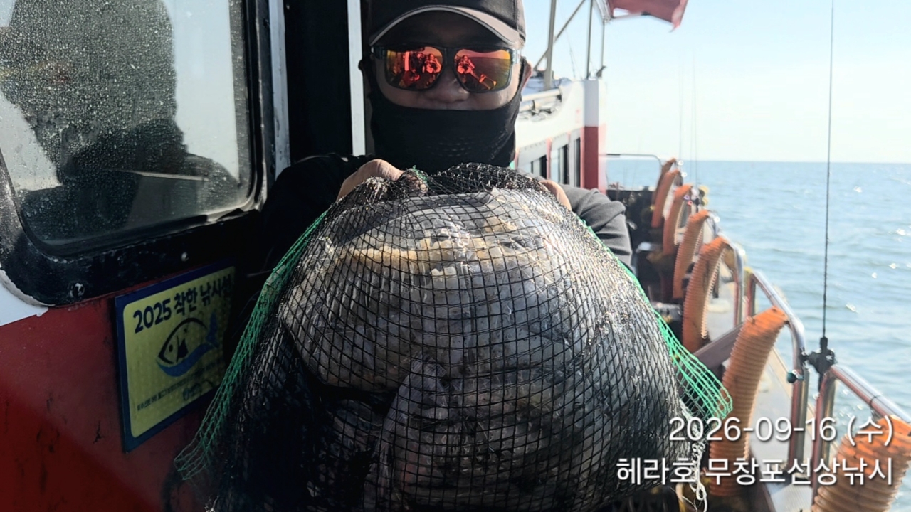 9월 16일 주꾸미 선상낚시 조황 현장 사진 1