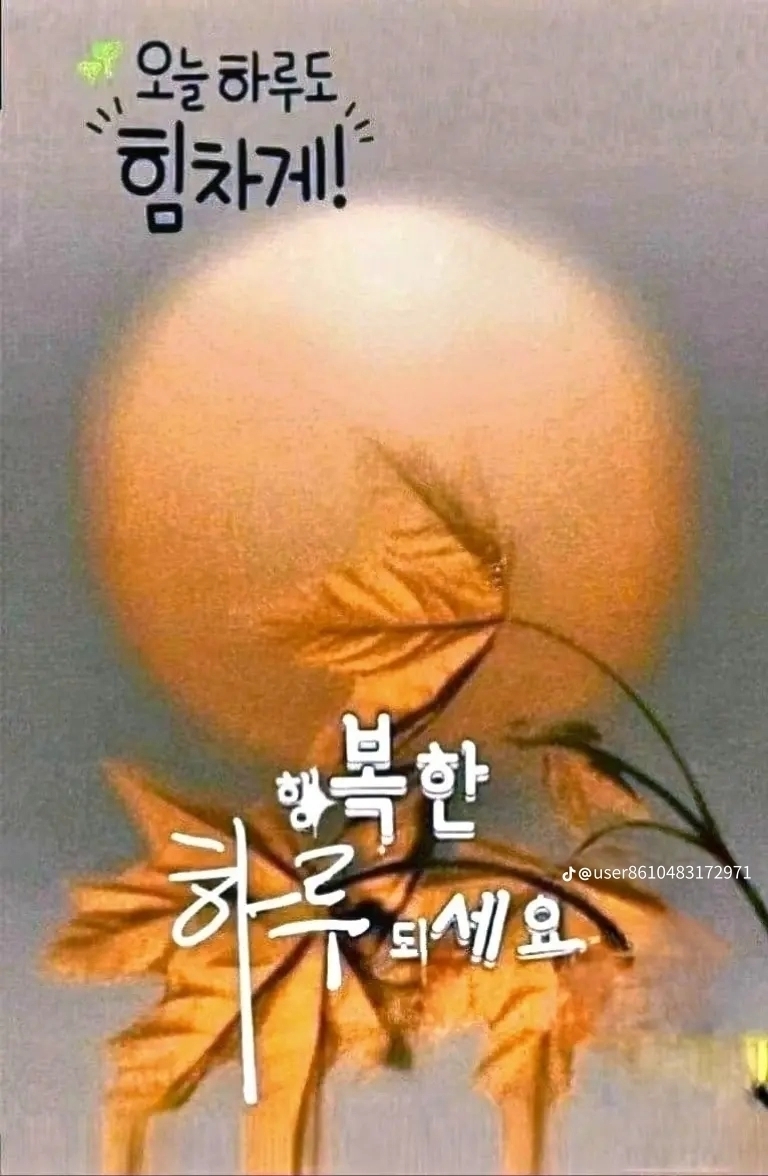 9월 16일 군산 주꾸미 선상낚시 조황 현장 사진 1
