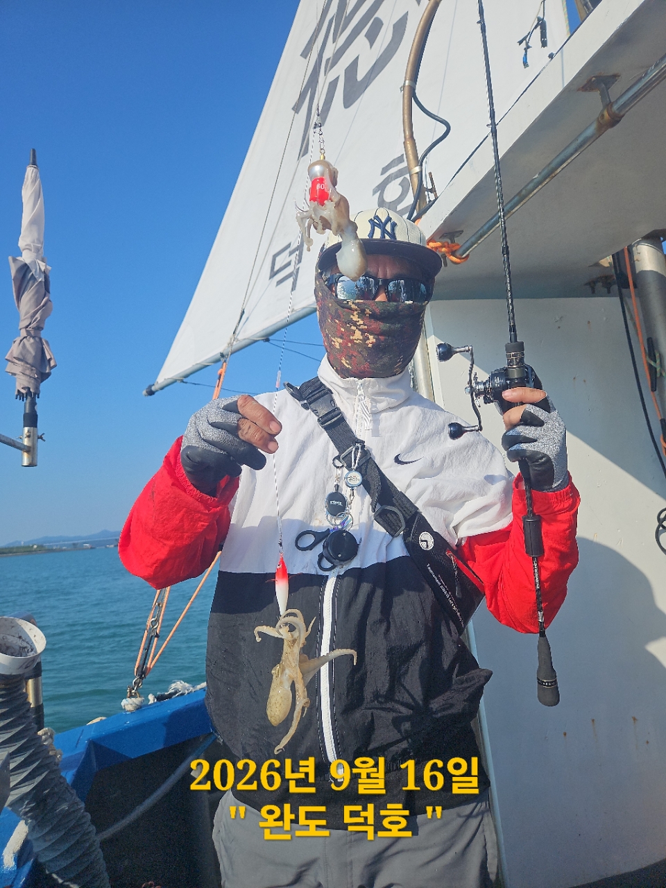 9월 16일 완도 주꾸미 선상낚시 조황 현장 사진 6