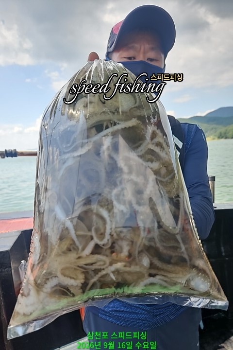 9월 16일 삼천포 주꾸미 선상낚시 조황 현장 사진 3