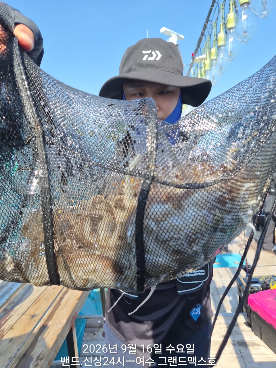 9월 16일 갑오징어 선상낚시 조황 현장 사진 7