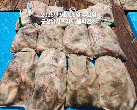 9월 16일 문어 선상낚시 조황 현장 사진 1