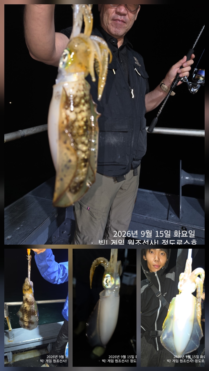 9월 16일 포항 무늬오징어 선상낚시 조황 현장 사진 39