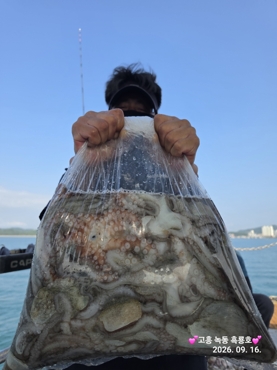 9월 16일 문어 선상낚시 조황 현장 사진 3