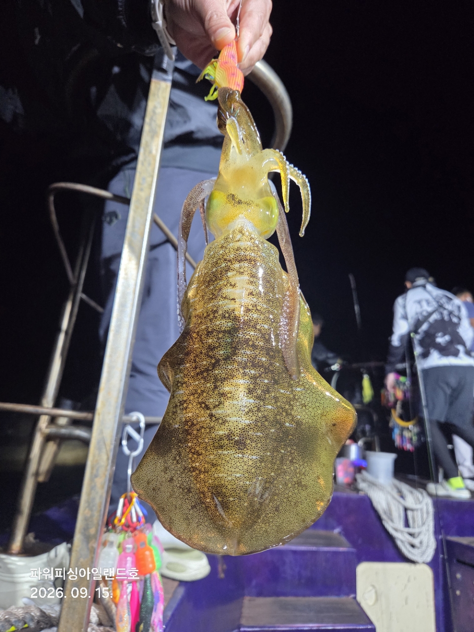 9월 15일 통영 무늬오징어 선상낚시 조황 현장 사진 8