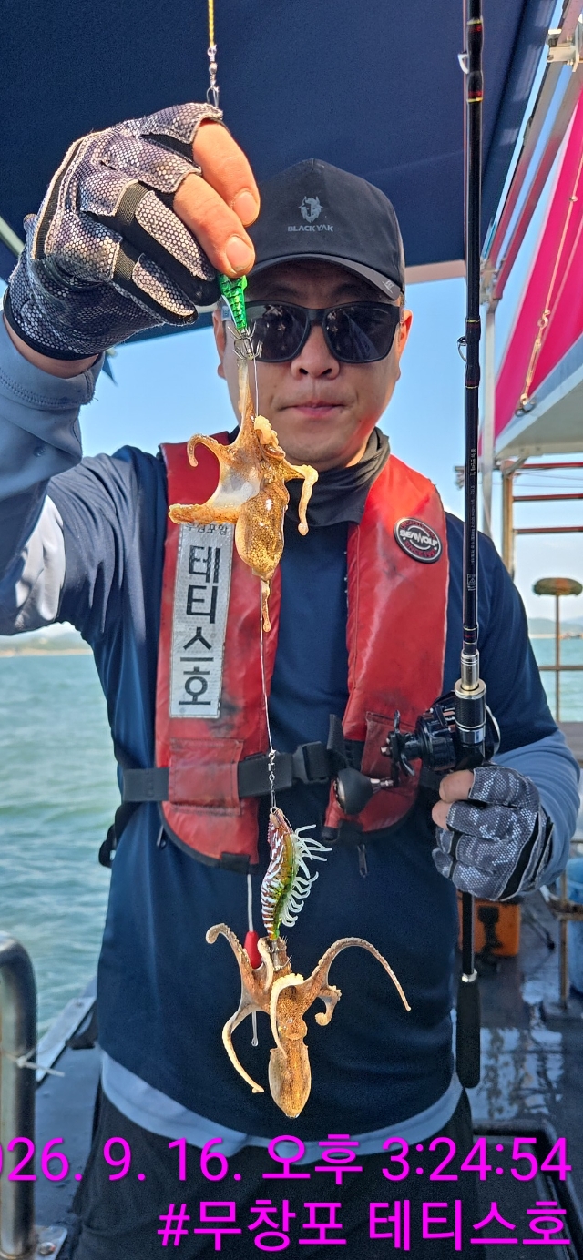 9월 16일 갑오징어 선상낚시 조황 현장 사진 11