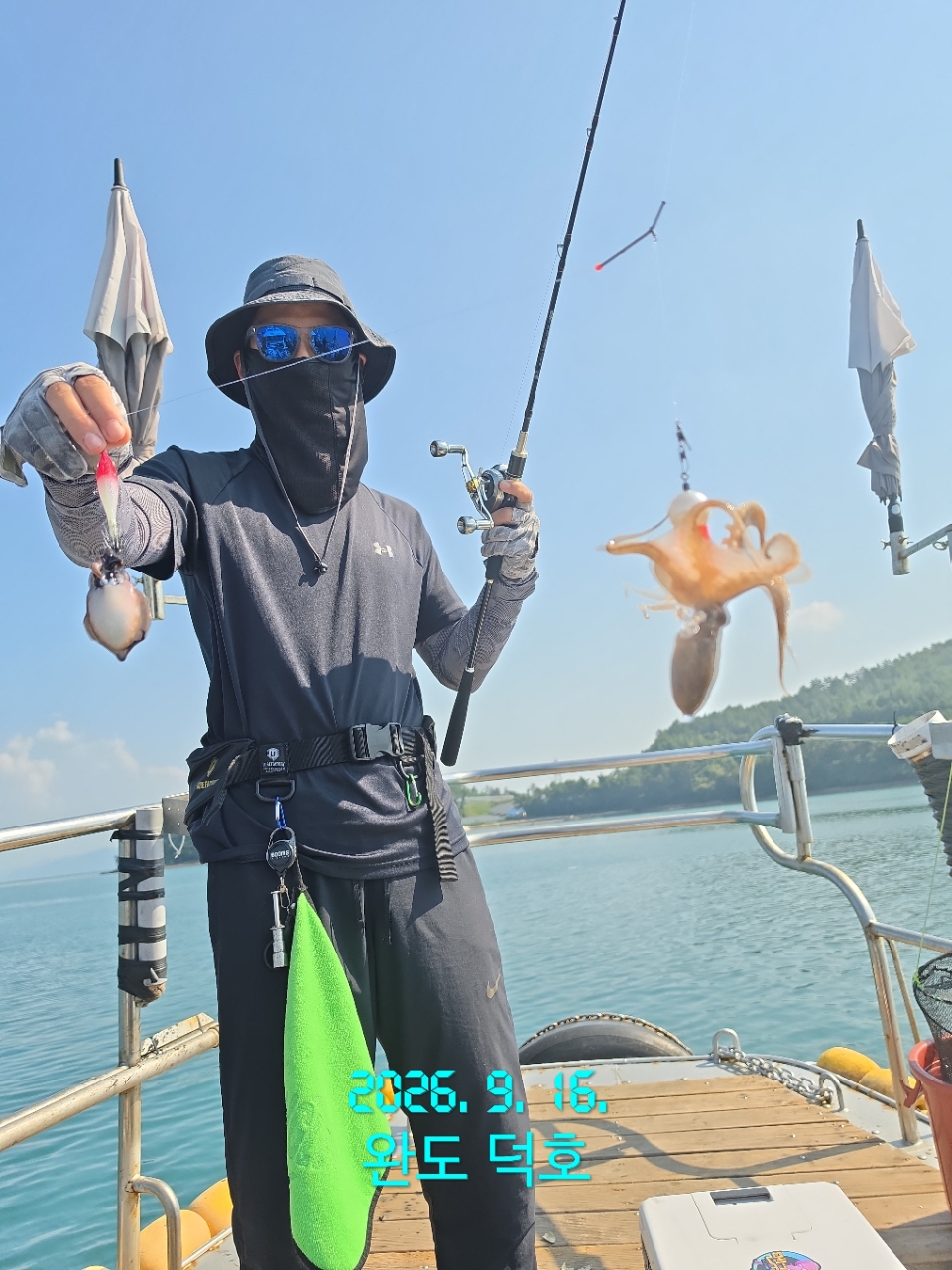 9월 16일 완도 주꾸미 선상낚시 조황 현장 사진 9