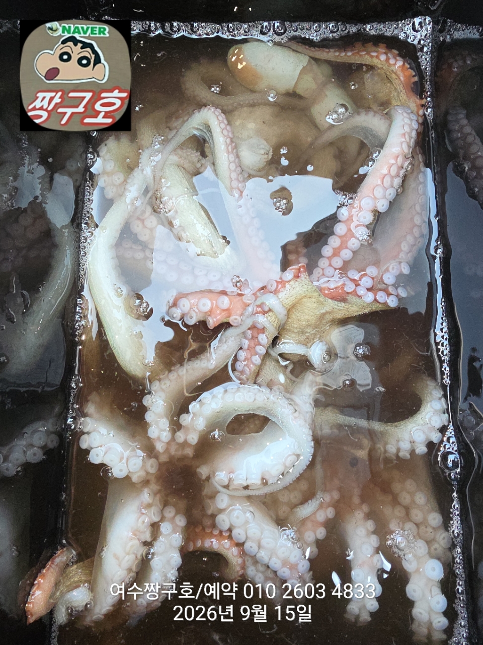 9월 15일 여수 문어 선상낚시 조황 현장 사진 8