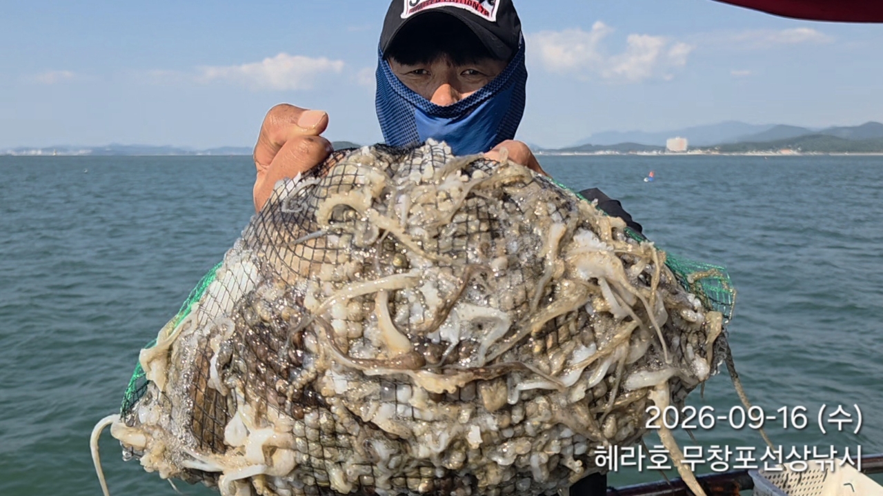 9월 16일 주꾸미 선상낚시 조황 현장 사진 2