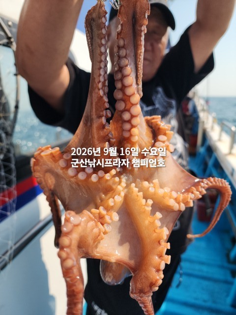9월 16일 문어 선상낚시 조황 현장 사진 6