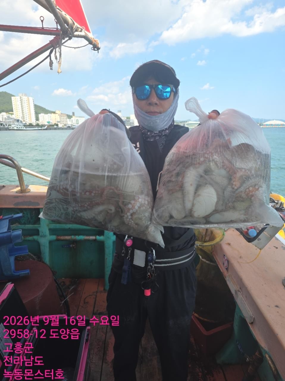 9월 16일 통영 문어 선상낚시 조황 현장 사진 6