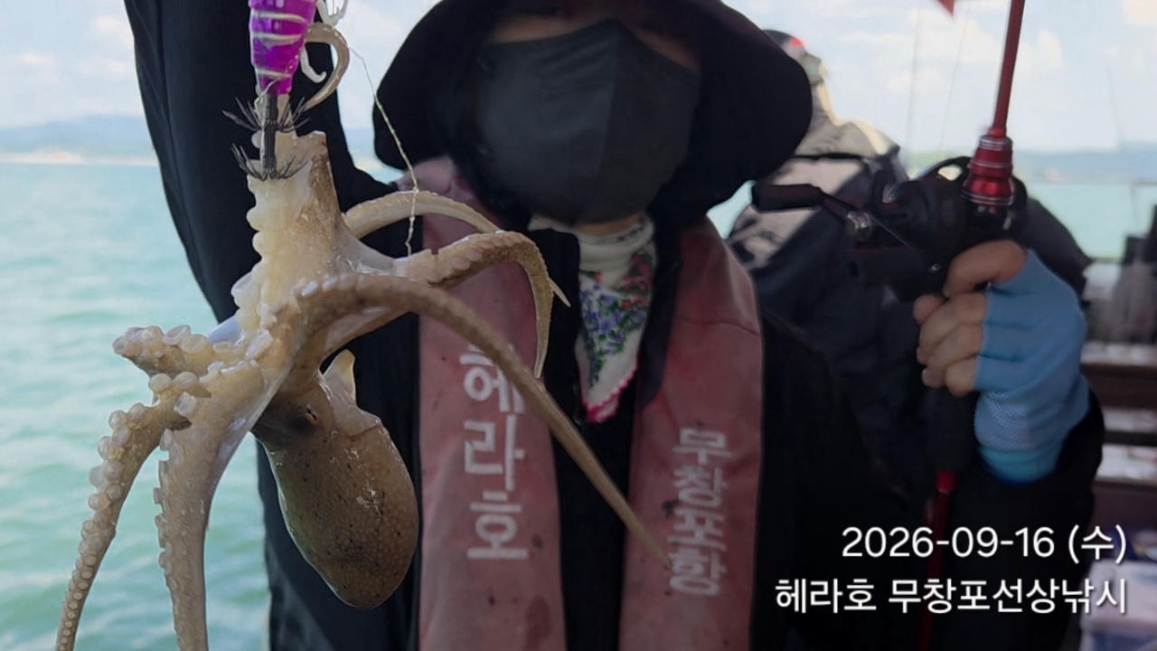 9월 16일 주꾸미 선상낚시 조황 현장 사진 4