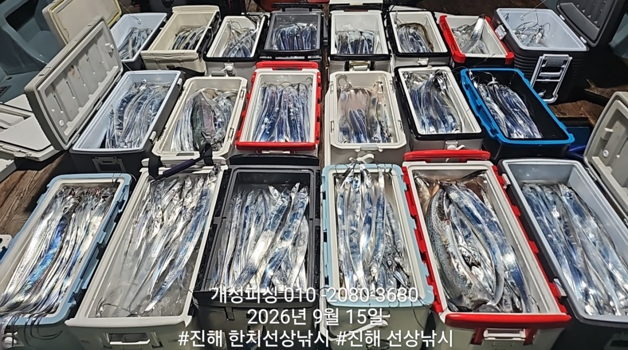 9월 16일 진해 갈치 선상낚시 조황 현장 사진 1