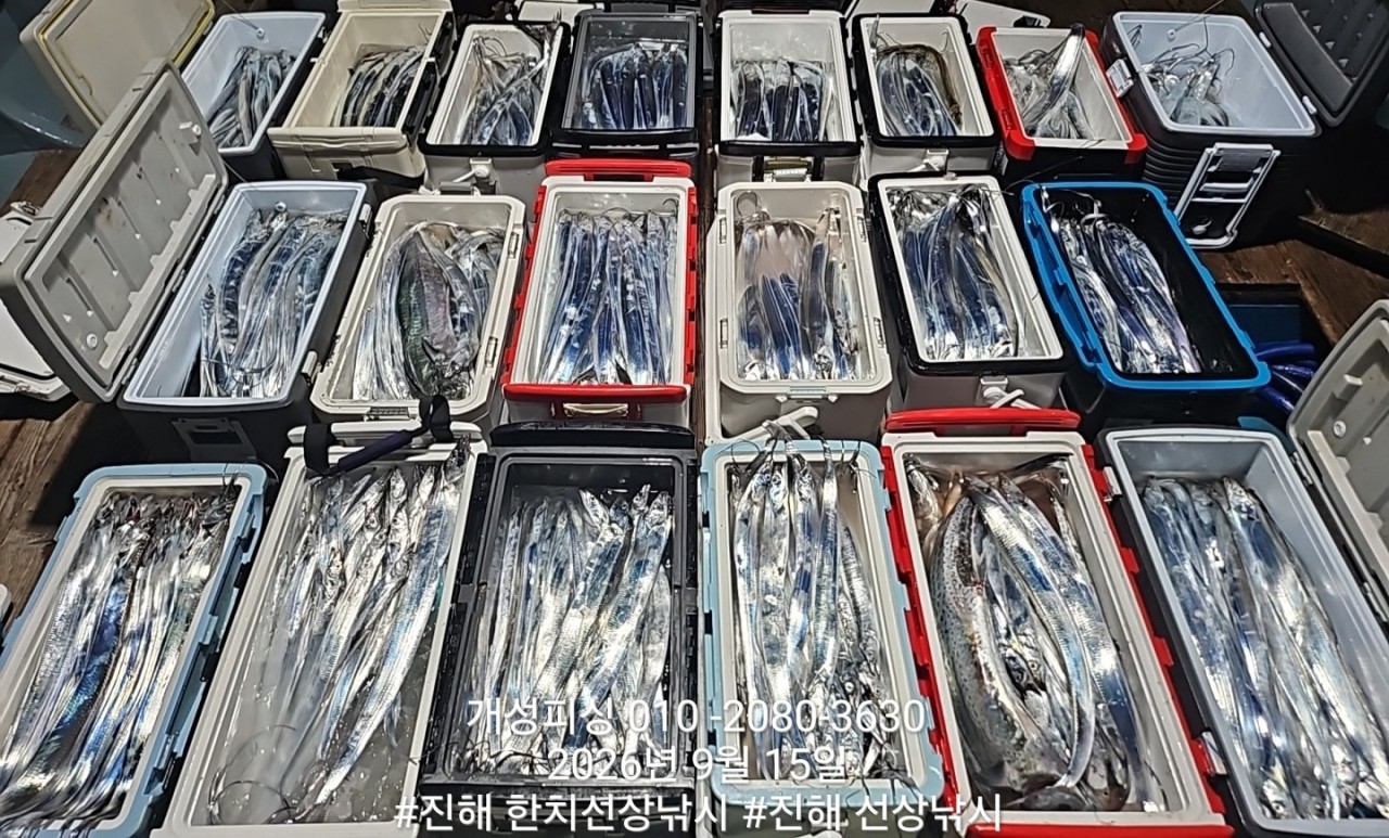 9월 16일 진해 갈치 선상낚시 조황 현장 사진 16