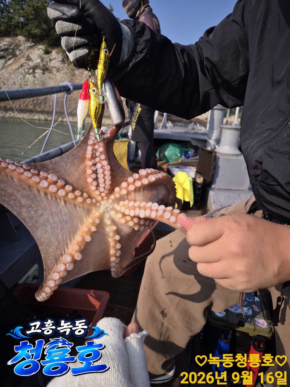 9월 16일 문어 선상낚시 조황 현장 사진 17