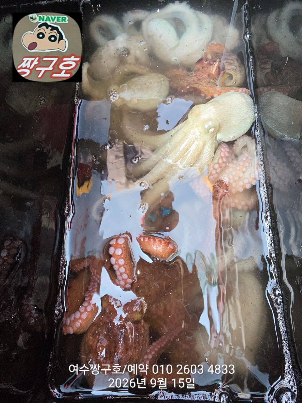 9월 15일 여수 문어 선상낚시 조황 현장 사진 19