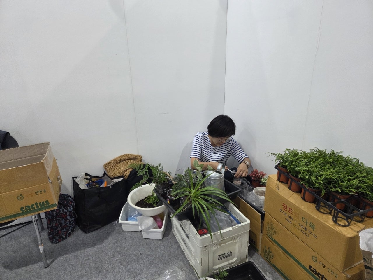 사용자가 올린 이미지