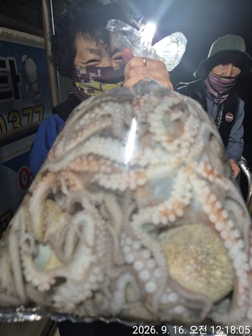 9월 16일 문어 선상낚시 조황 현장 사진 7