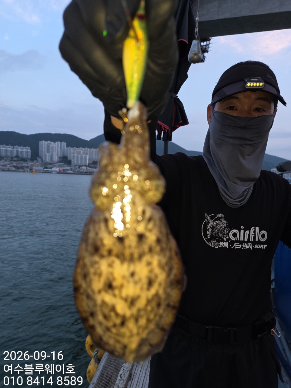 9월 17일 갑오징어 선상낚시 조황 현장 사진 30