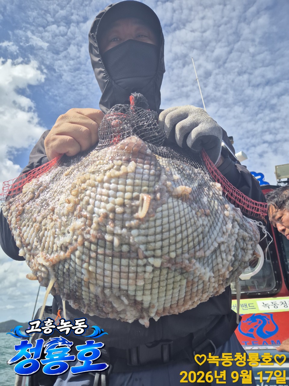 9월 17일 문어 선상낚시 조황 현장 사진 10