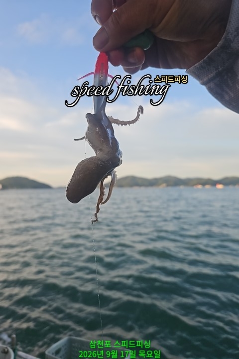 9월 17일 삼천포 주꾸미 선상낚시 조황 현장 사진 5