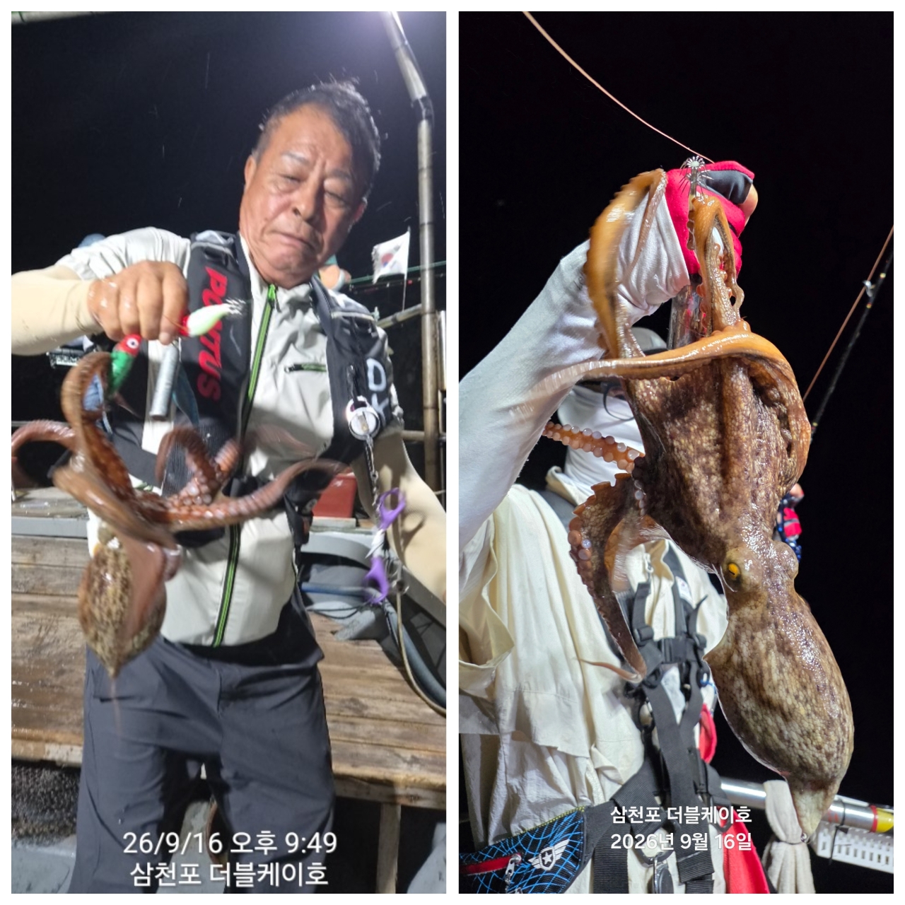 9월 16일 삼천포 문어 선상낚시 조황 현장 사진 9